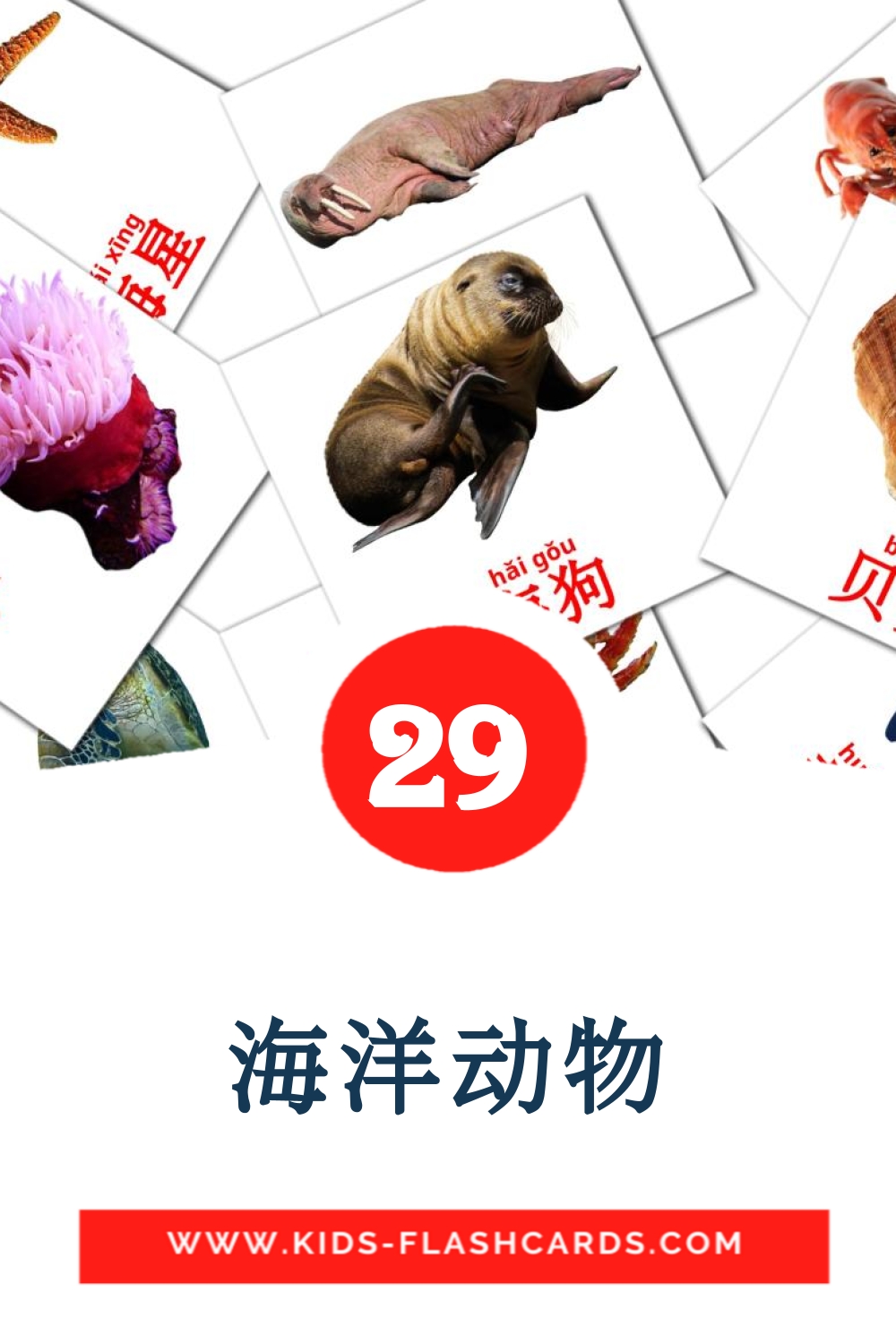 海洋动物 на китайский(Упрощенный) для Детского Сада (29 карточек)