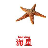 海星 card for translate