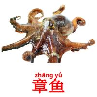 章鱼 card for translate