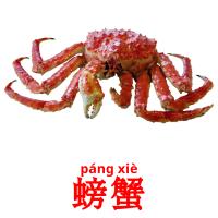 螃蟹 card for translate