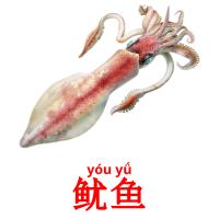 鱿鱼 card for translate