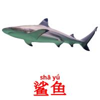 鲨鱼 card for translate