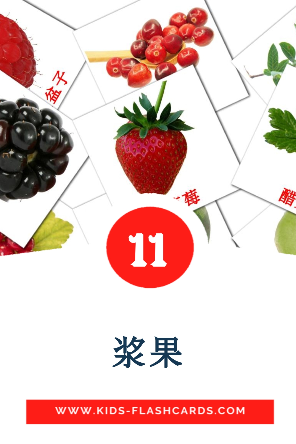 11 浆果 Picture Cards for Kindergarden in chinese(Simplified)