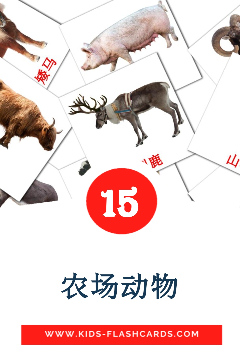 15 cartes illustrées de 耕畜 pour la maternelle en chinois(simplifié)