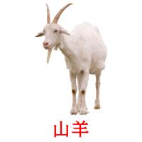 山羊 card for translate