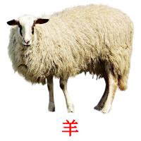 羊 card for translate