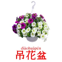 吊花盆 ansichtkaarten