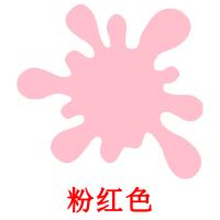 粉红色 card for translate