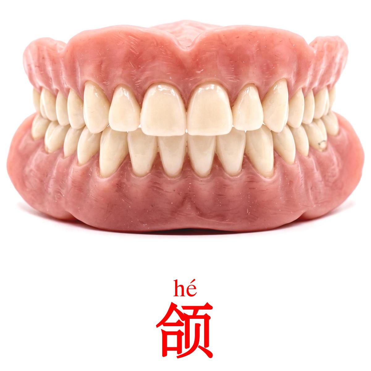 20 Printable Face Flashcards in Chinese(Simplified) (Free PDF)