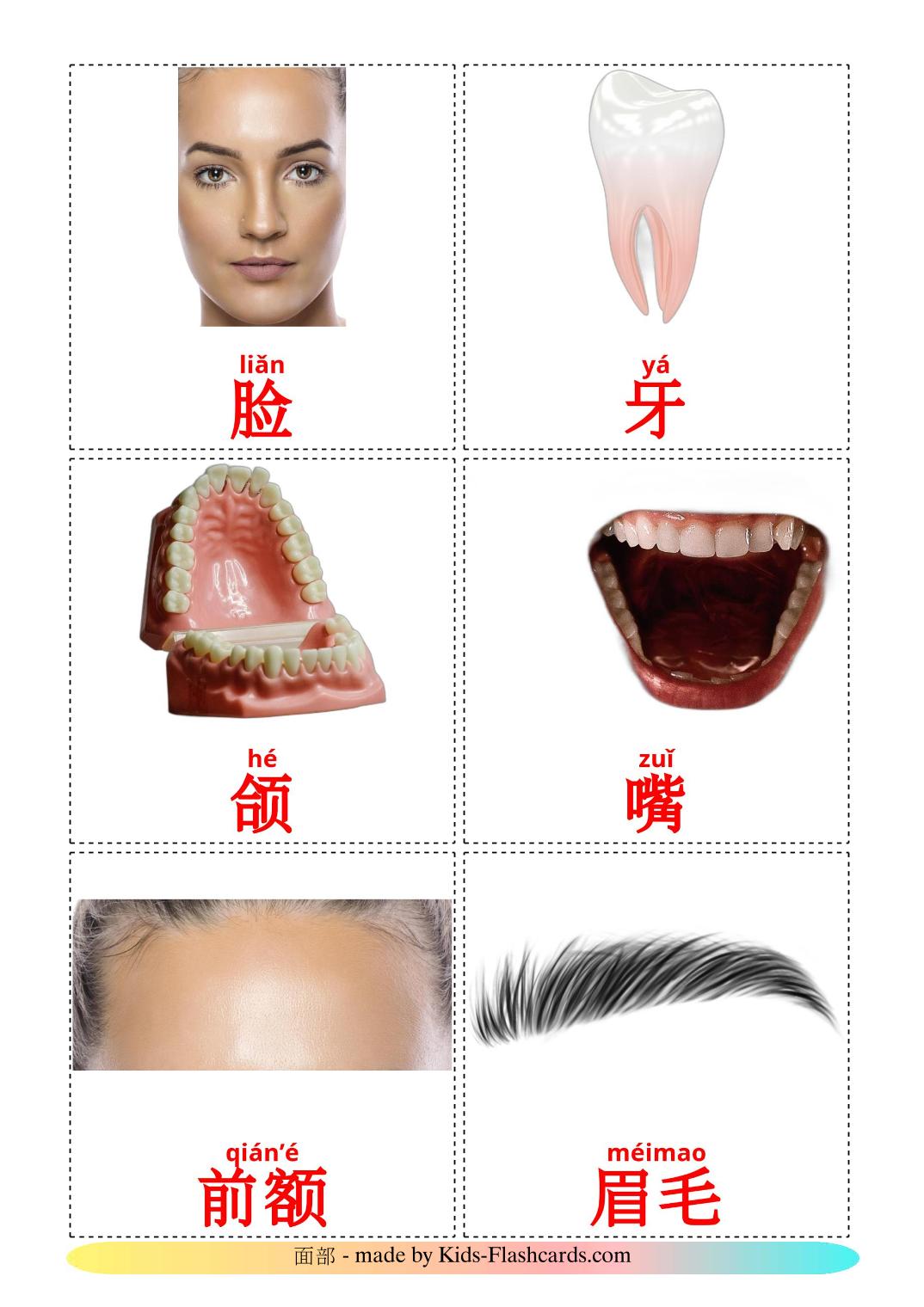 Face - 20 Free Printable chinese(Simplified) Flashcards 