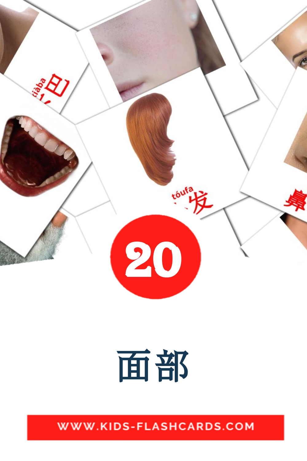 20 cartes illustrées de 面部 pour la maternelle en chinois(simplifié)