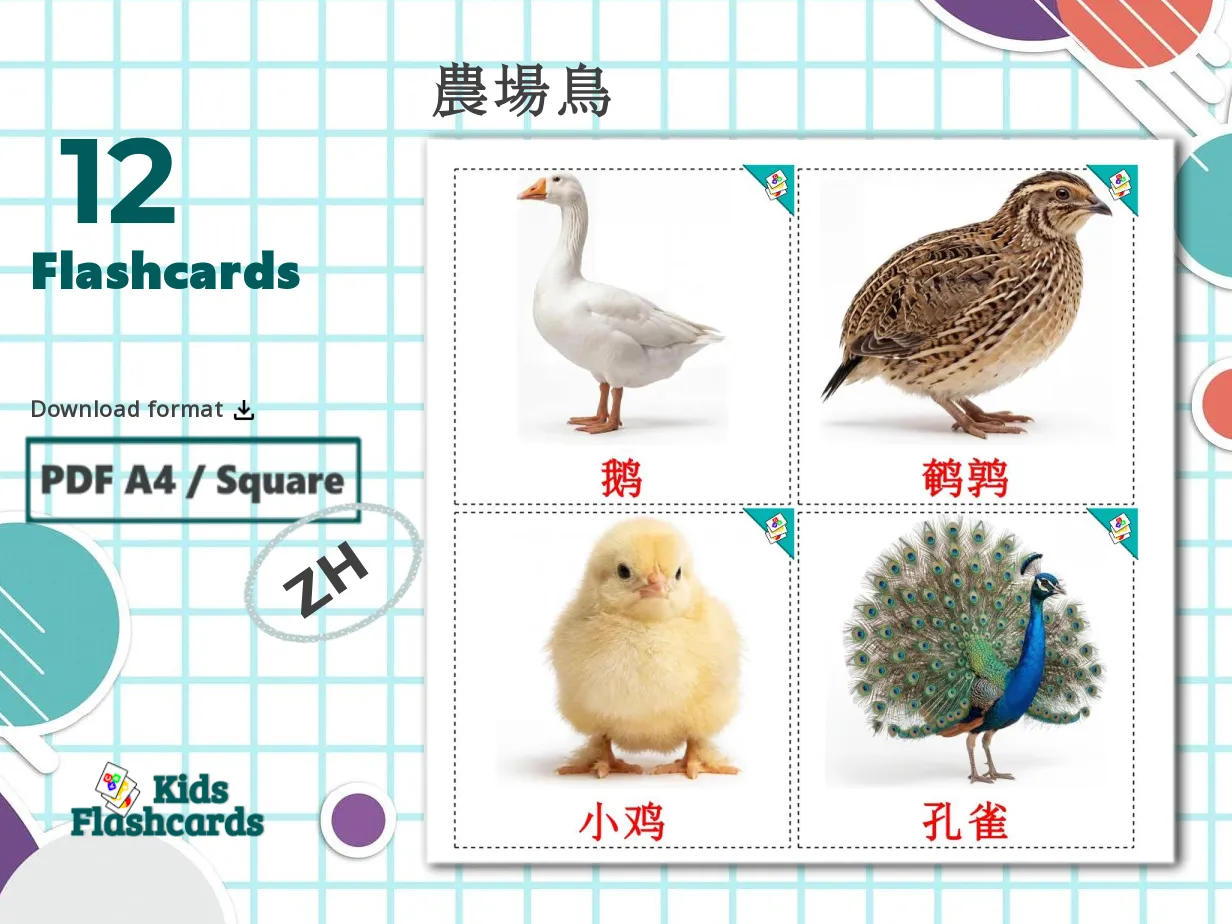 12 Printable Farm birds Flashcards in Chinese(Simplified) (Free PDF)