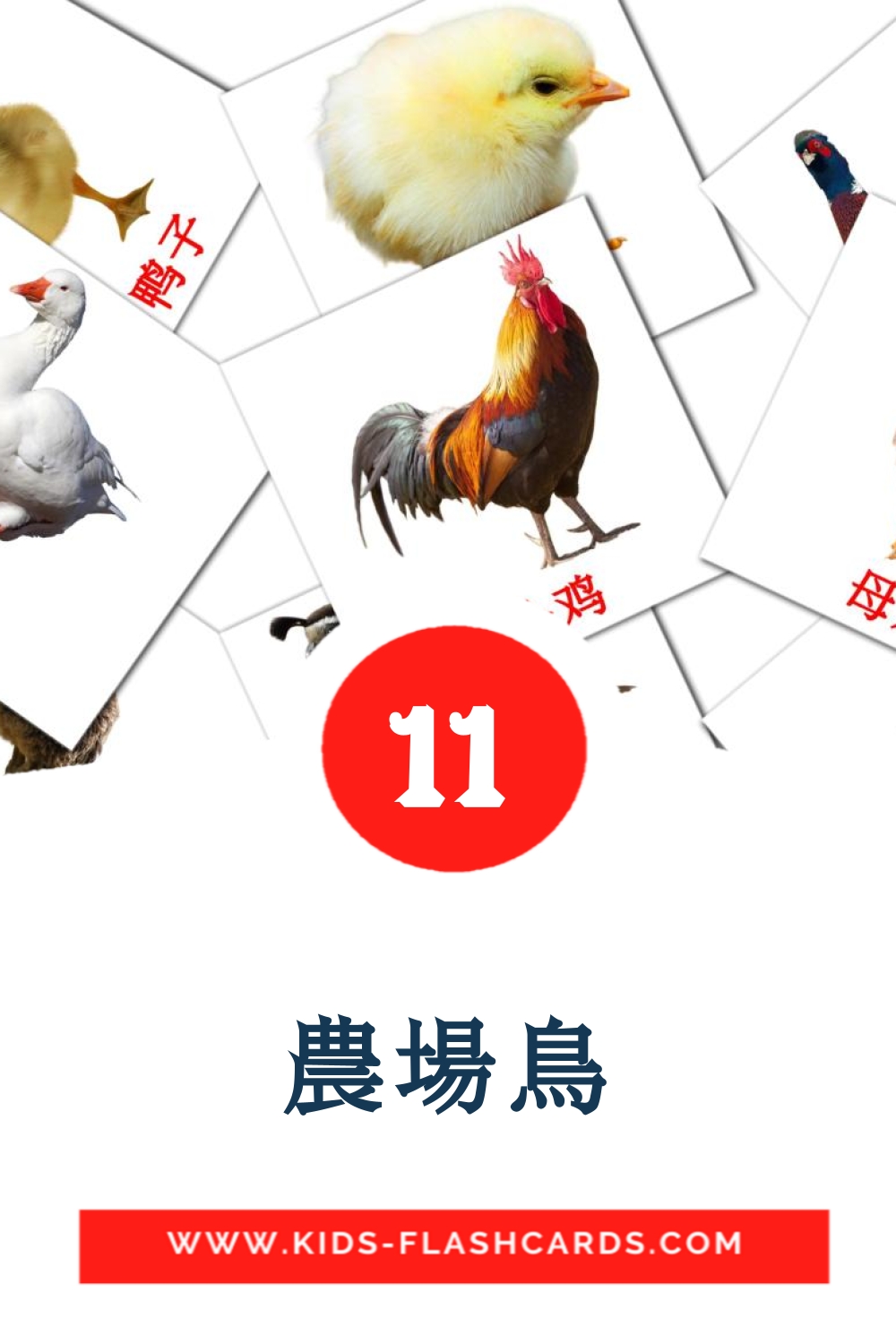 農場鳥 на китайский(Упрощенный) для Детского Сада (11 карточек)