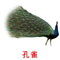 孔雀 card for translate