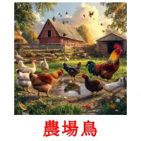 農場鳥 flashcards illustrate