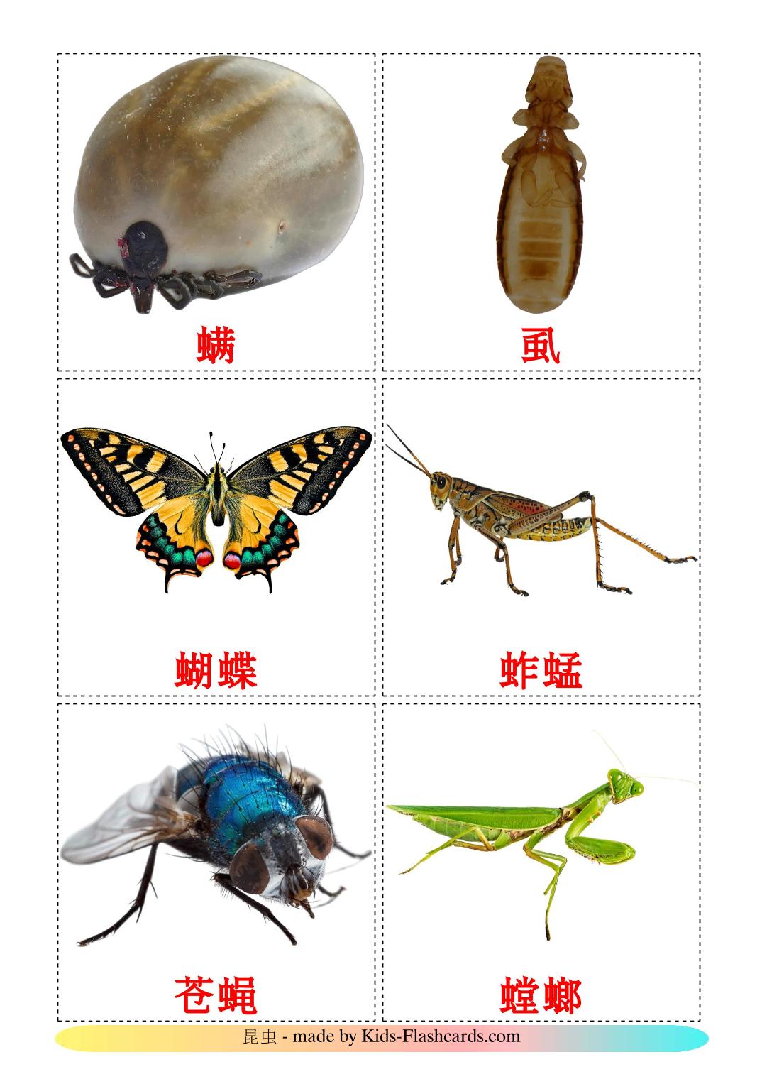 Les Insectes - 23 Flashcards chinois(simplifié) imprimables gratuitement