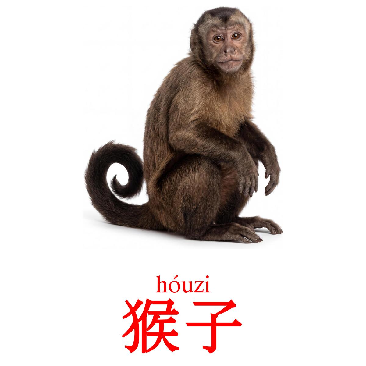 22 Printable Jungle animals Flashcards in Chinese(Simplified) (Free PDF)