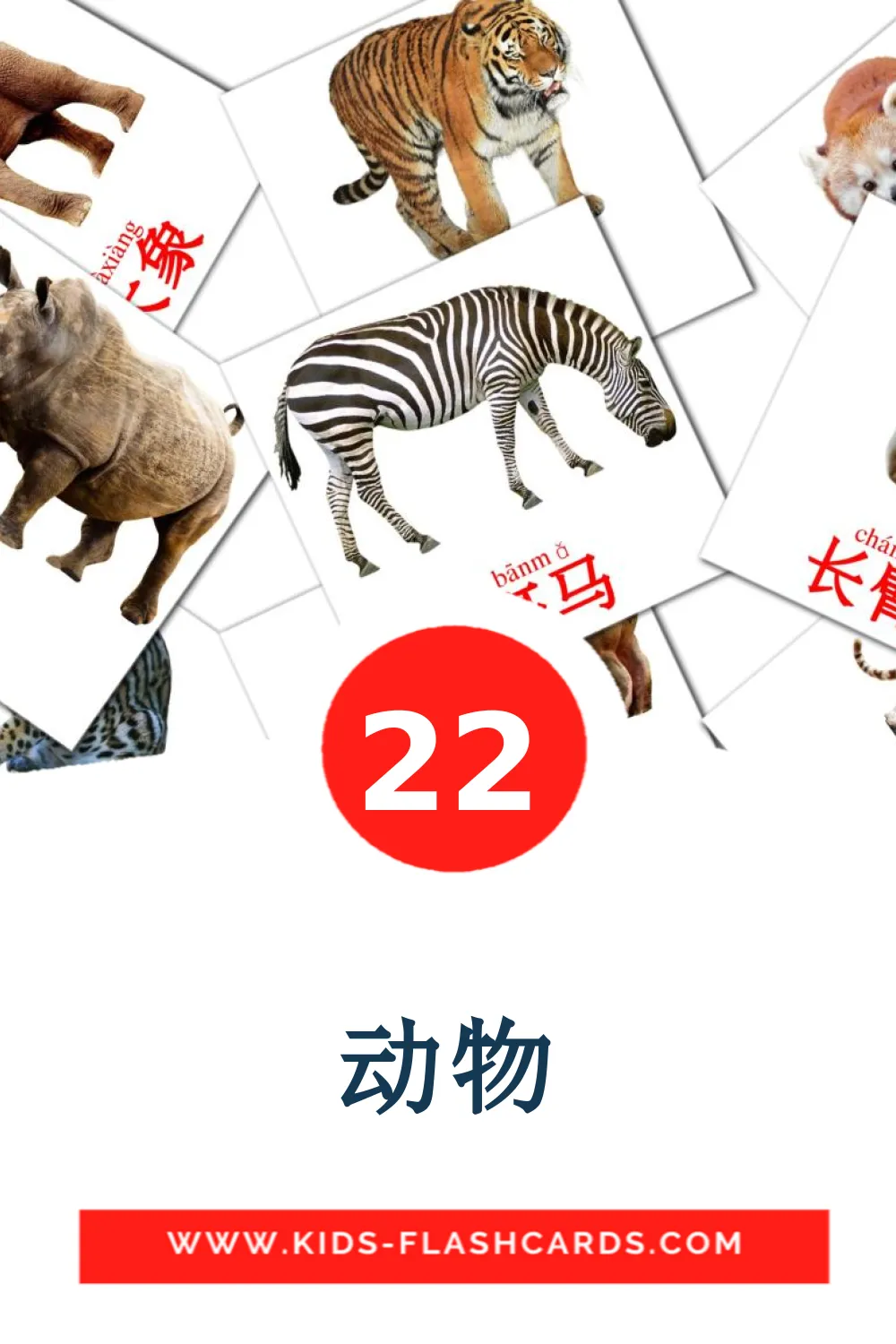 22 动物 fotokaarten voor kleuters in het chinees(vereenvoudigd)