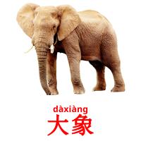 大象 card for translate