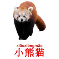 小熊猫 card for translate
