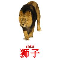 狮子 card for translate
