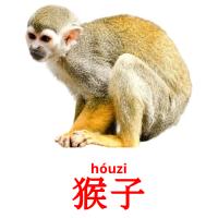 猴子 card for translate