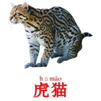 虎猫 ansichtkaarten