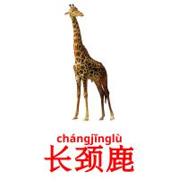 长颈鹿 card for translate