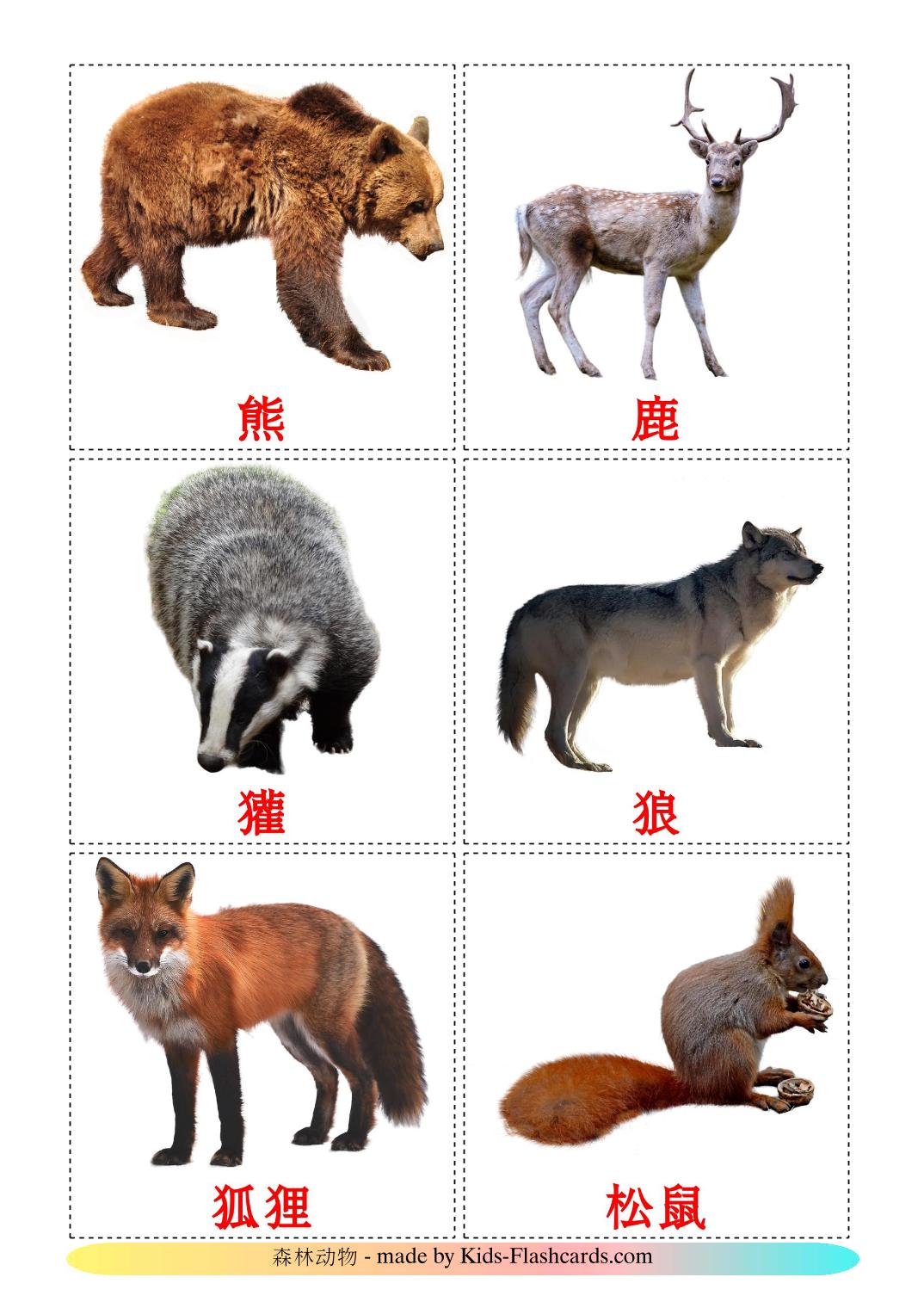 Лесные животные - 22 Карточки Домана на китайский(Упрощенный)
