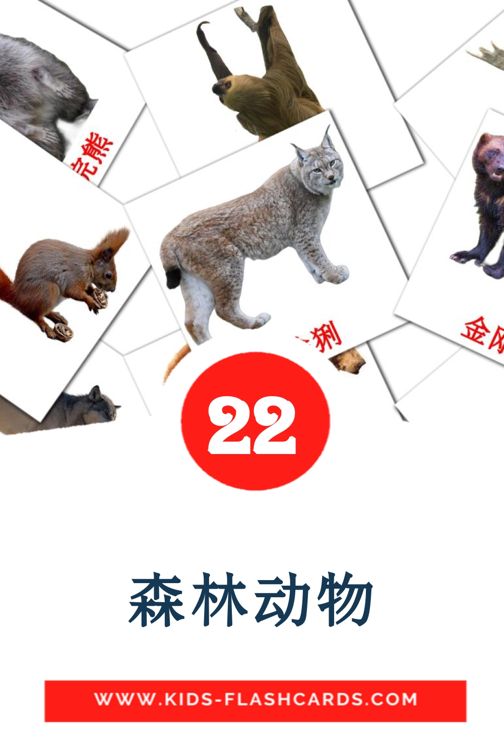 森林动物 на китайский(Упрощенный) для Детского Сада (22 карточки)