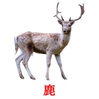 鹿 card for translate