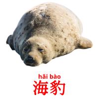 海豹 picture flashcards