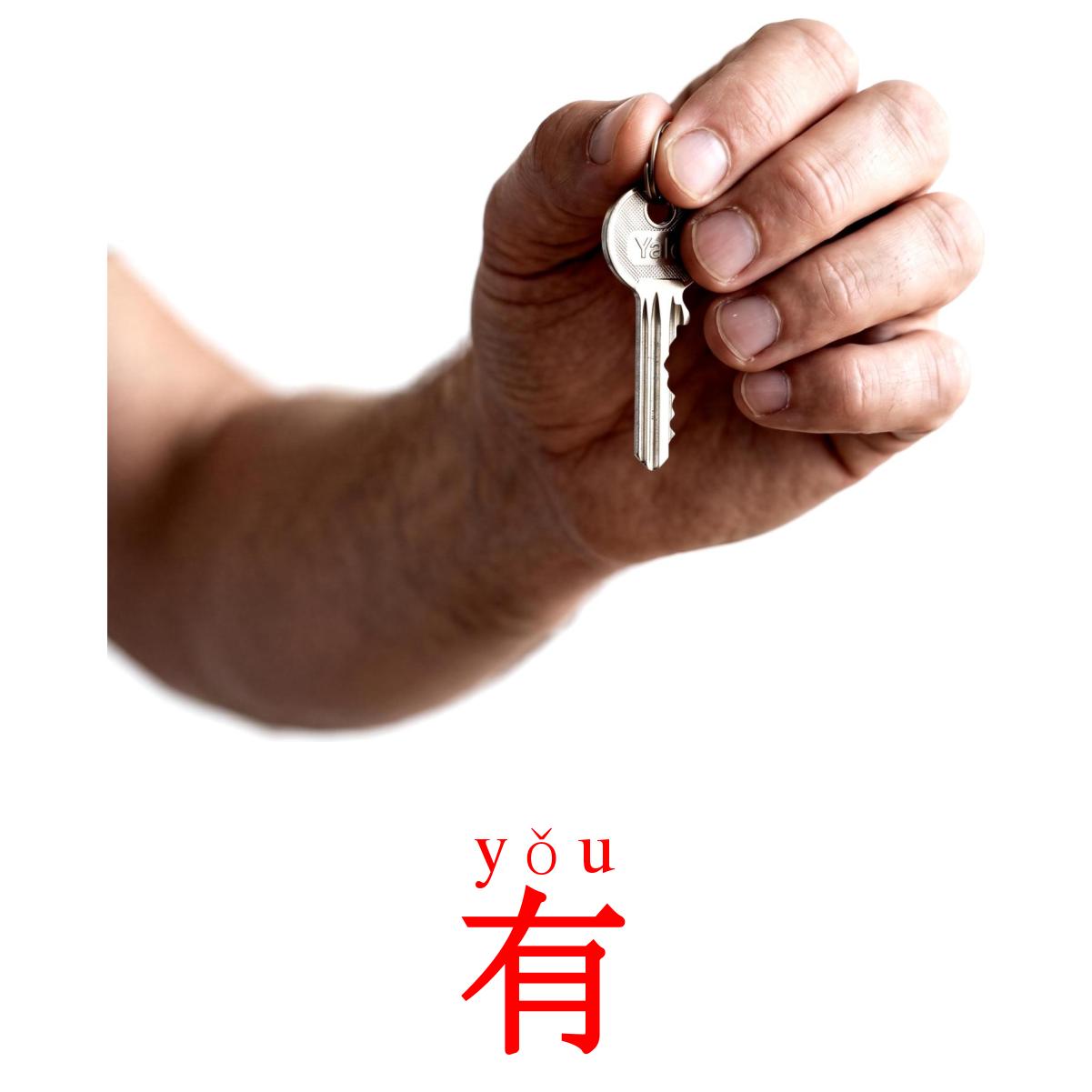 24 Printable State verbs Flashcards in Chinese(Simplified) (Free PDF)