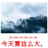 今天雾这么大。 ansichtkaarten