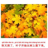 秋天到了，叶子开始从树上落下来。 cartes flash