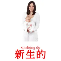 新生的 ansichtkaarten