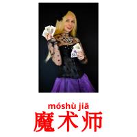 魔术师 picture flashcards