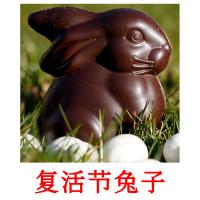 复活节兔子 picture flashcards