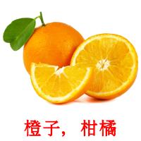 橙子，柑橘 card for translate