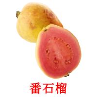 番石榴 card for translate