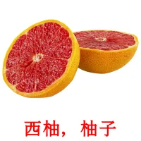 西柚，柚子 picture flashcards