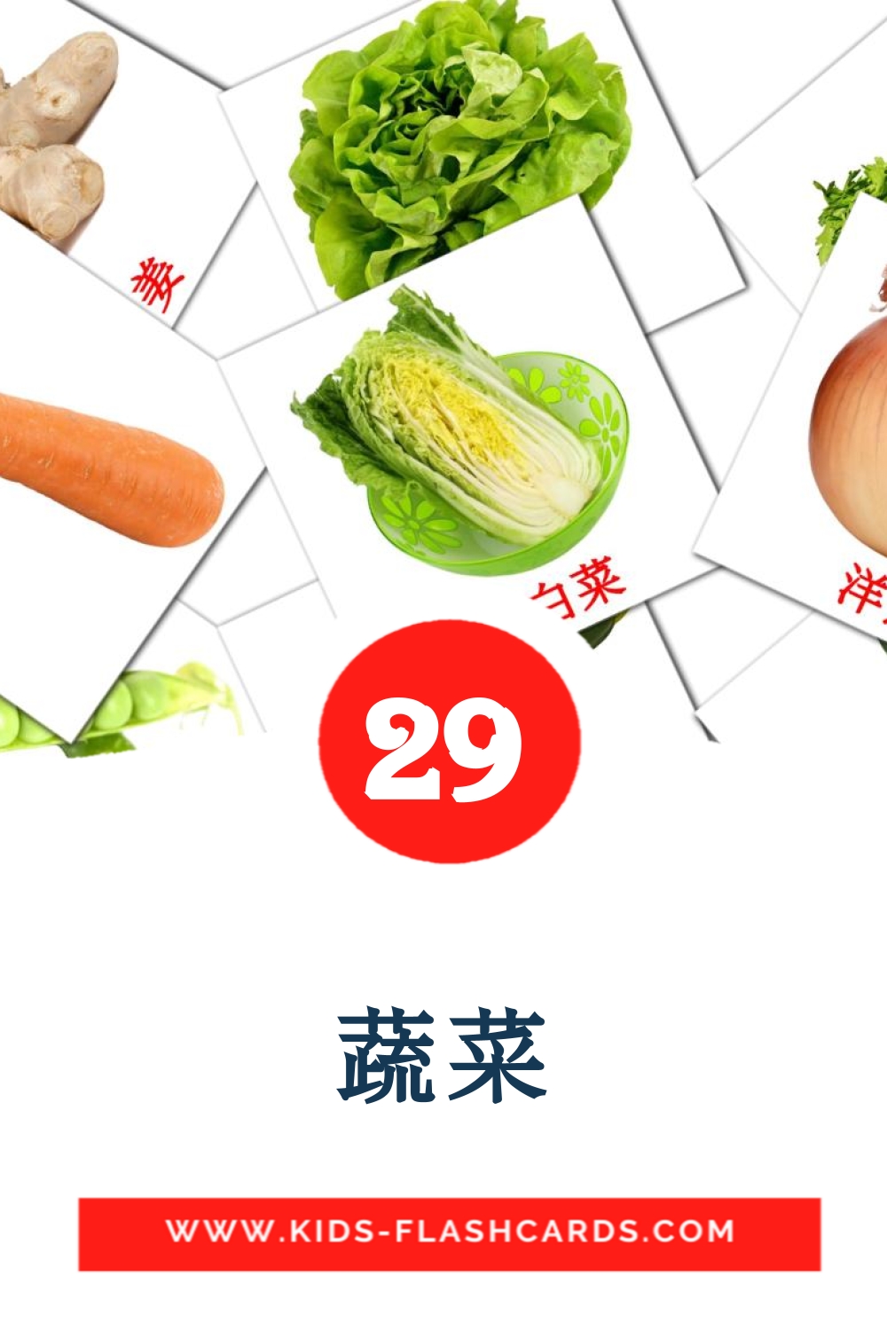 29 cartes illustrées de 蔬菜 pour la maternelle en chinois(simplifié)
