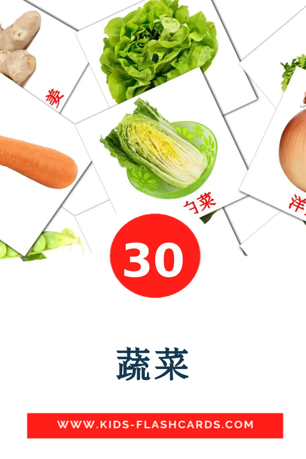 30 蔬菜 fotokaarten voor kleuters in het chinees(vereenvoudigd)