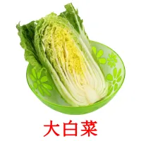 大白菜 ansichtkaarten