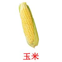 玉米 card for translate
