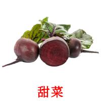 甜菜 card for translate