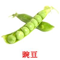 豌豆 card for translate