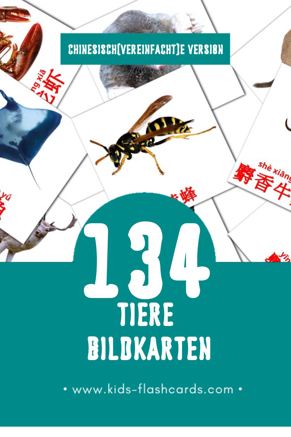 Visual 动物 Flashcards für Kleinkinder (134 Karten in Chinesisch(Vereinfacht))