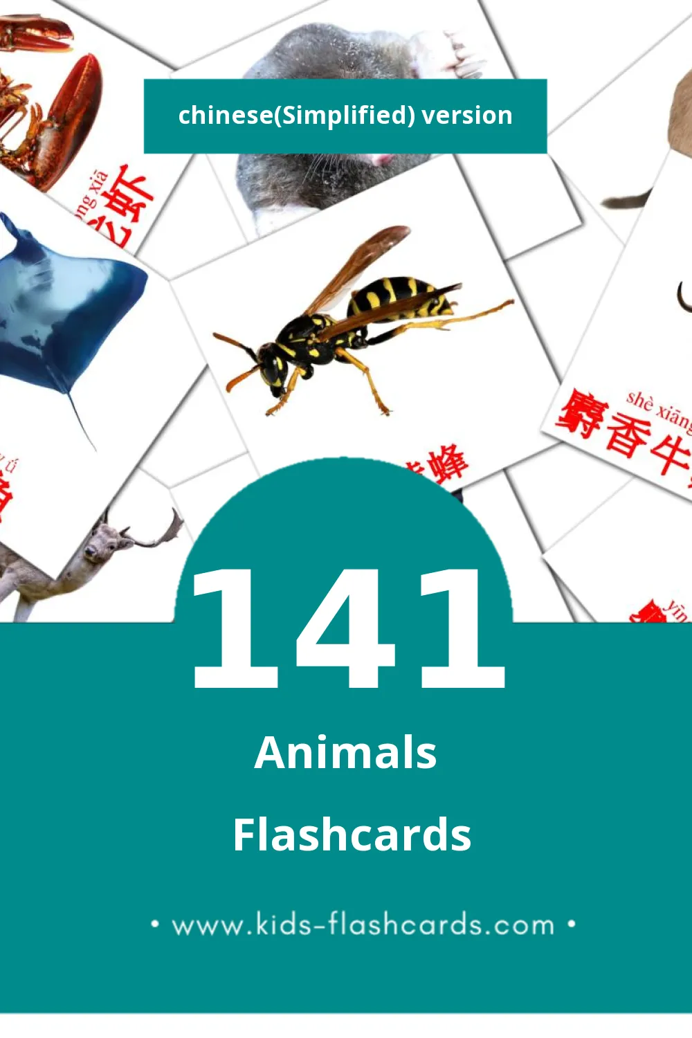 Visual 动物 Flashcards for Toddlers (141 cards in Chinese(Simplified))