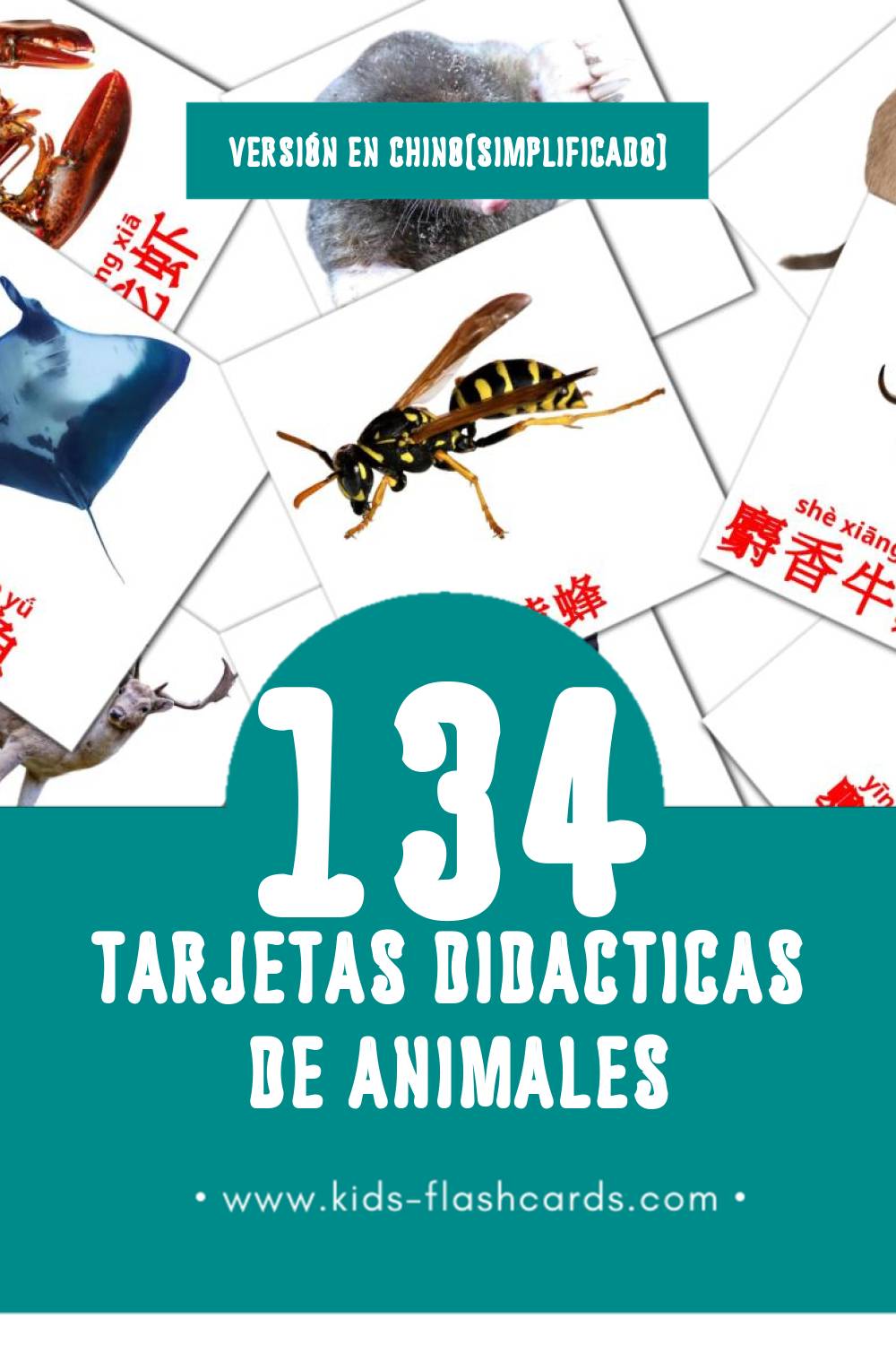 Tarjetas visuales de 动物 para niños pequeños (134 tarjetas en Chino(simplificado))
